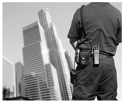 img-serviços-SEGURANÇA-PATRIMONIAL